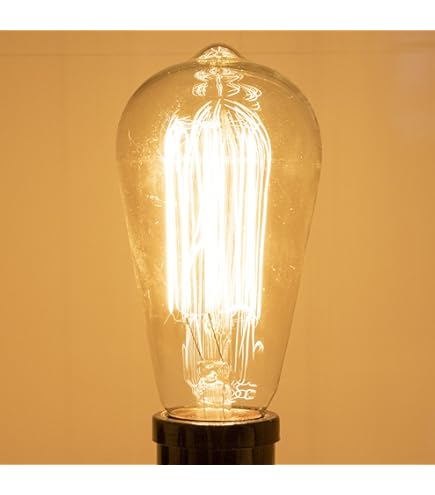 Amazon | 舶用電球 ヴィンテージランプ 白熱電球タイプ 40W バルブ形状