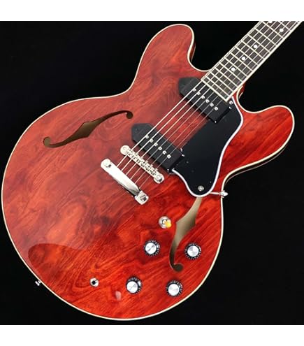 Amazon | ORTEGA オルテガ ギターバンジョー 6弦 エレキ仕様 Raven