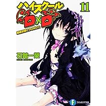 ハイスクールD×D 11 Amazon.co.jp: ハイスクールD×D 11 進級試験とウロボロス (富士見