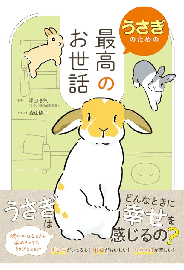 Amazon.co.jp: うさぎのきもちVOL.6 ([バラエティ]) : 東京書店: 本