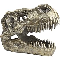 恐竜　化石　トリケラトプス 赤ちゃん　頭部 頭骨 レプリカ　一品のみ 恐竜 化石 トリケラトプス 赤ちゃん 頭部 頭骨 レプリカ 一品のみ