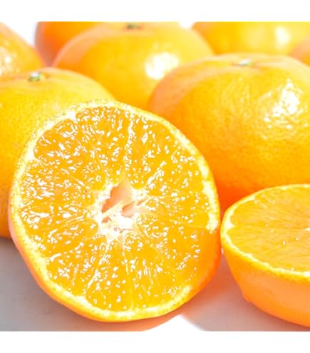 Amazon.co.jp: 高知産山北みかんM～Sサイズ5kg : 食品・飲料・お酒