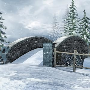 Hidden Garden Winter