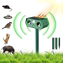 かおもじネコ 綾波レイ 未使用 新形態かおもじネコ マスコットBC 綾波レイ風 ② 未使用】新品