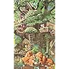 ふしぎの森のツリーハウス ディズニー - ふしぎの森のツリーハウス FVGA(480×800)壁紙 121388