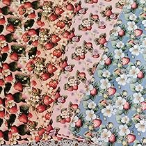 Amazon.co.jp: rio_ykr様 Strawberry両面デザインペーパーA4 4