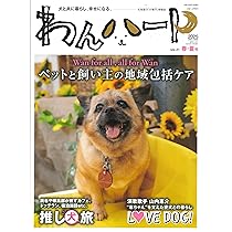 赤犬くん※7/21更新 2025.1.31（金）17:00 ／ 𝗻𝗲𝘄 #歌ってみた 投稿 #ちぐさくん
