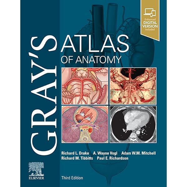 GRAY'S ANATOMY FOR STUDENTS 第四版 Amazon | Gray's Anatomy for Students | Drake PhD, Richard L