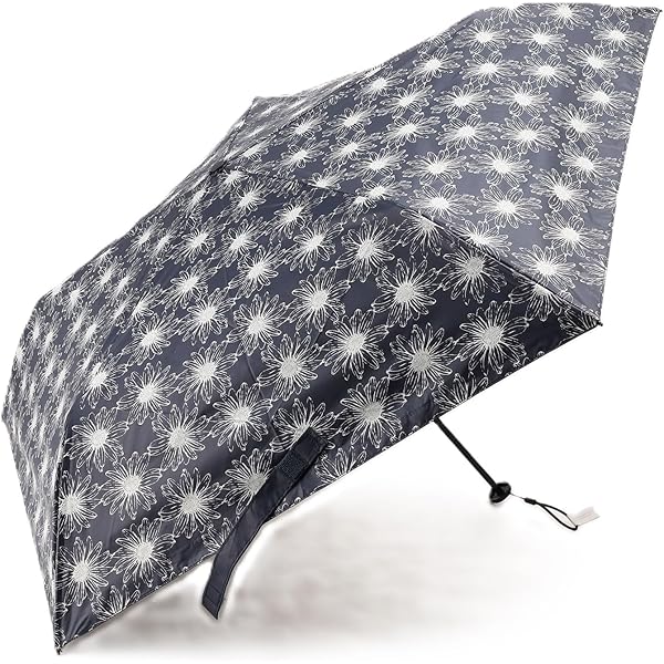 Amazon | (DAKS)ダックス 晴雨兼用傘 ロゴ 花刺繍【公式ムーン