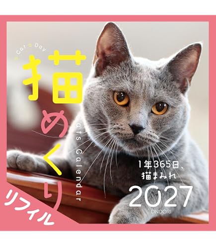 Amazon | 日めくりニャンコ！2025年リフィル(卓上日めくりカレンダー猫