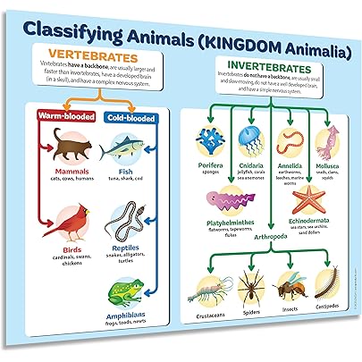 Daydream Education Classification Of Animals Science - View #9