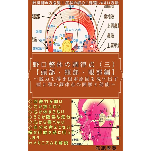 野口整体の調律点（一）【上肢・胸部・肩甲骨編】: ～厳選された急処の
