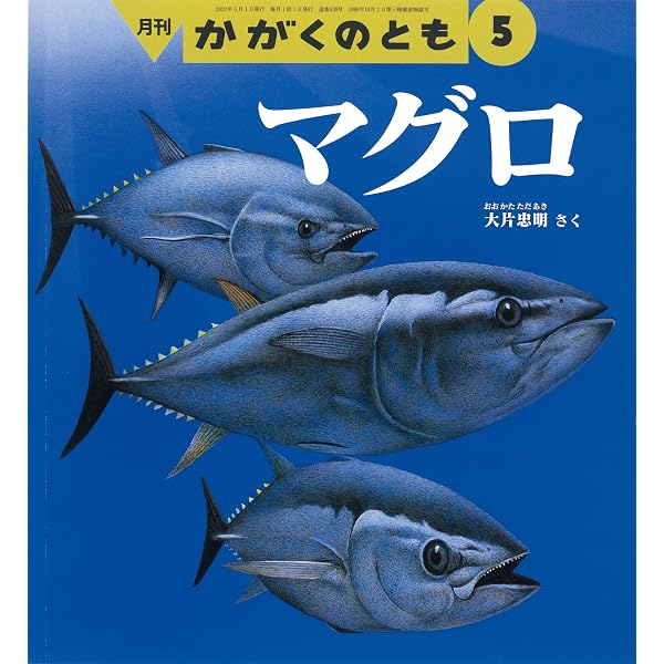 びっくり! マグロ大百科 (世の中への扉) | 葛西臨海水族園 クロマグロ