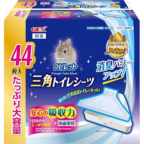 Amazon.co.jp: 本気でうさぎを飼いたい人の うさぎの飼い方 育て方