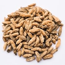 81rGM4uluzL._AC_UL210_SR210,