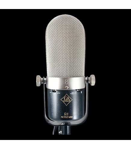 MXL Classic Ribbon Microphone MXL R77 Chrome/Gold : Amazon.com.au