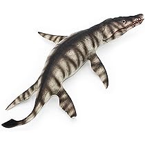 81rOqi5IhpL._AC_UL210_SR210,