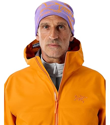 Amazon.co.jp: [アークテリクス] Bird Head Toque Smoke Bluff：Arctic