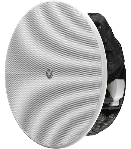 Amazon.co.jp: ヤマハ シーリングスピーカー 小型 商業 用 天井