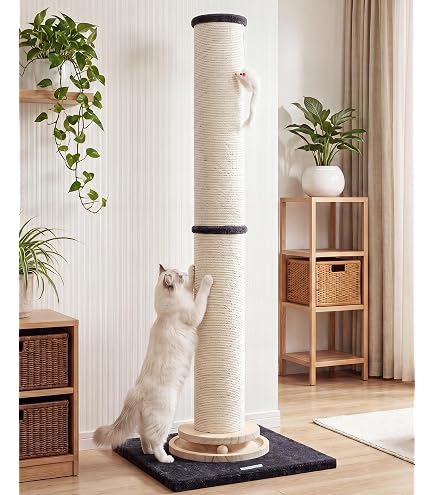 Amazon.co.jp: 猫壱 バリバリつめとぎポール ラージ 紙縄 アイアン