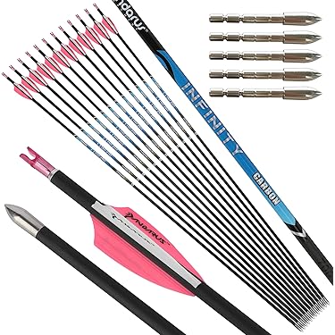 Amazon.co.jp 売れ筋ランキング: アーチェリー用矢 の中で最も