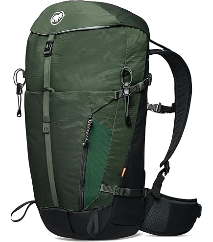 Amazon.co.jp: リチウム 30L クラシック ロゴ カプセル