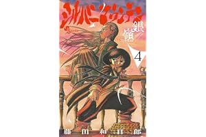 シルバーマウンテン（４） (少年サンデーコミックス)