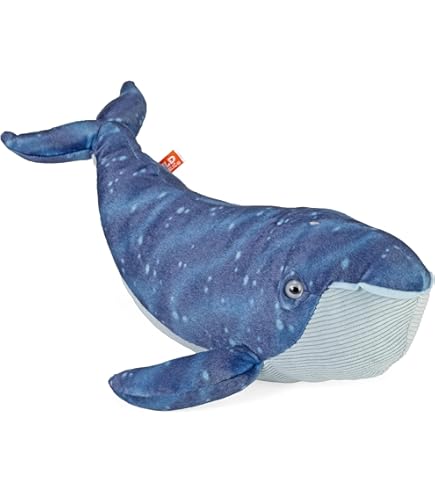 Amazon.co.jp: 海のともだちシリーズ mar ザトウクジラ ぬいぐるみ