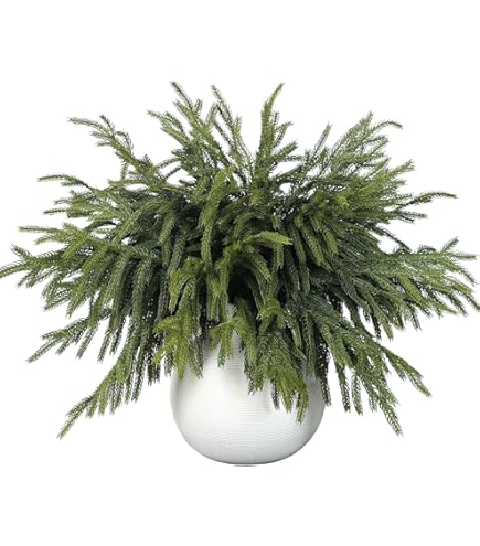 mt～様ご注文商品やすの松ぼっくり大量14㎝ mt～様ご注文商品やすの松ぼっくり大量14㎝