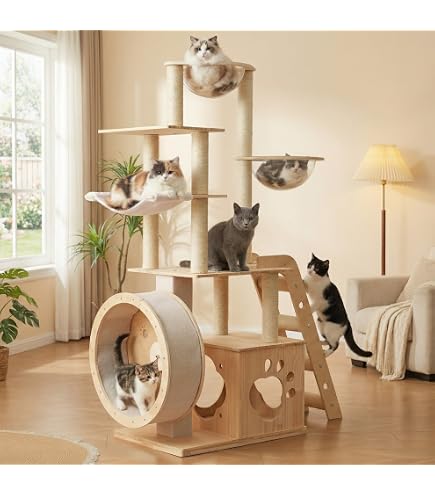 Amazon.co.jp: キャットヴィラ パノラマガラス猫ヴィラホームキャット