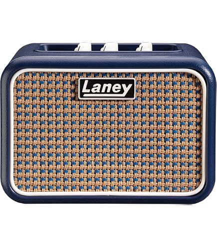 Amazon.co.jp: Laney (レイニー) ギターコンボアンプ LX120RT 【国内