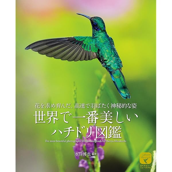 美しいハチドリ図鑑 実寸大で見る338種類 | マリアン・テイラー