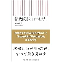 成熟社会の経済学――長期不況をどう克服するか (岩波新書) | 小野 善康 