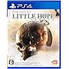 THE DARK PICTURES LITTLE HOPE（リトル・ホープ）