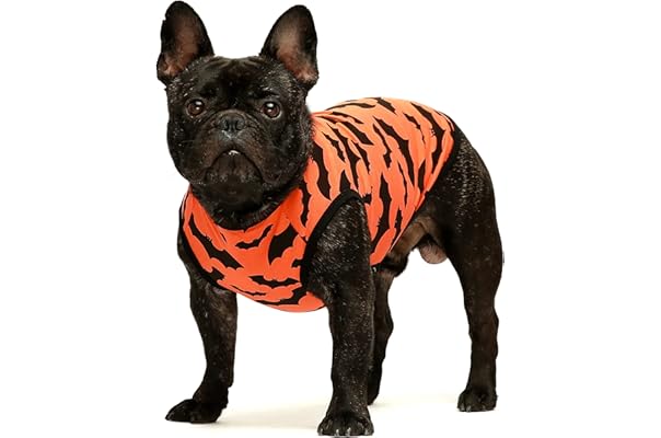 犬服 ジャケット Aw Twinkle おしゃれ お出かけ かわいい ギフト ドッグウェア プレゼント ボタン 中型犬 冬 厚手 可愛い 夏服 女の子 小型犬 春服 犬の服 犬用品 秋 超小型犬 送料無料 98 Off 厚手