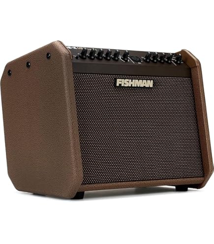 Amazon.co.jp: AER アコースティック ギター アンプ 60W Compact 60/3