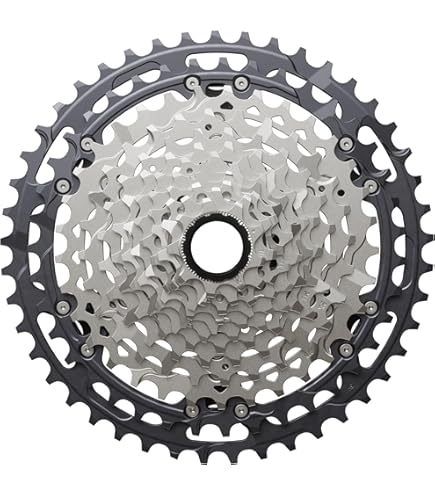 Amazon | SRAM NX Eagle PG-1230 カセット - 12速、11-50t、ブラック