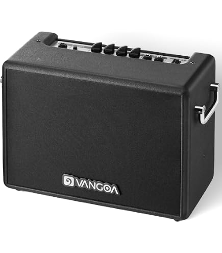 Roland CUBE-20XL 20-Watt 1x8-Inch Bass Combo Amp : Amazon.com.au