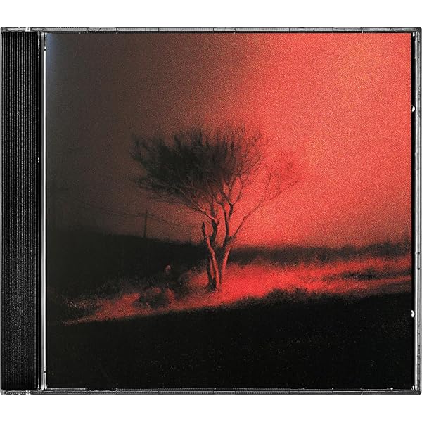 J*f様 JOJI / BALLADS 1 LP Amazon.co.jp: Joji - BALLADS 1 Exclusive Limited Edition Clear