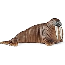 81s7pE0m1FL._AC_UL210_SR210,