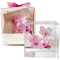 【美品】felinas ハーバリウム 3本セット ライト付き Amazon｜[フェリナス] 桜 ハーバリウム クリスタルフラワー プレゼント