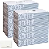 スコッティ ティッシュ (400枚(200組) * 5箱パック * 2セット) ホワイト パッケージ ボックス ティシュー SCOTTIE シンプル ストライプ オリジナルティッシュ付 まとめ買い