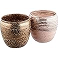 ランチャン(Ranchant) ペア焼酎カップ マルチ Φ9x9cm 雅刷毛 有田焼 日本製