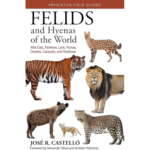 Amazon | The Wild Cat Book | Sunquist, Fiona, Sunquist, Mel