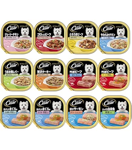 Cesar シーザーウエットフード詰め合わせ 109個 Cesar シーザーウエットフード詰め合わせ 109個 Cesar シーザー
