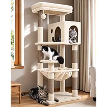 Amazon | Globlazer キャットタワー 低い スリム 省スペース 付き 展望