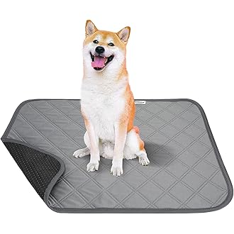 puppy pad amazon