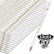 ⭐️プレーンチャコールドローイングチャコールペン-8パックのドローイング Amazon | プロフェッショナルプレーンチャコールドローイング