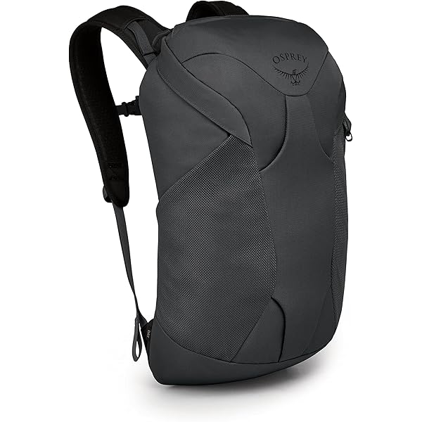 Amazon.co.jp: Samsonite 折りたたみ式バックパック, 折りたたみ