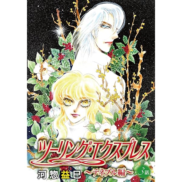 ツーリング・エクスプレス～ノワール編～ (花とゆめコミックス